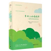 草地上的嗡嗡声(微瑕)